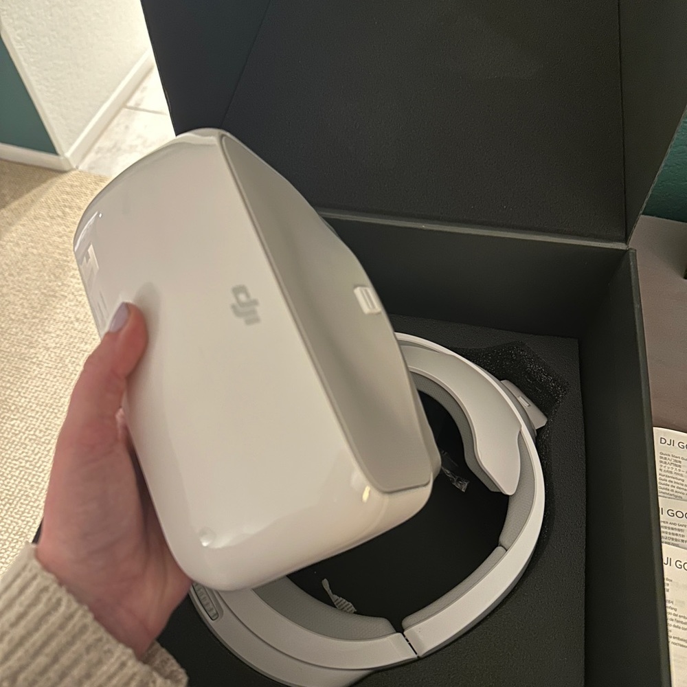 DJI Goggles